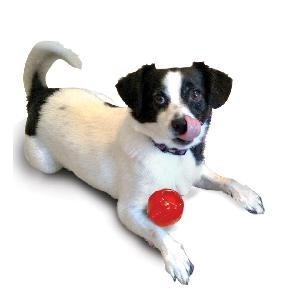משחק כדור גומי חזק 9 ס"מ לכלב